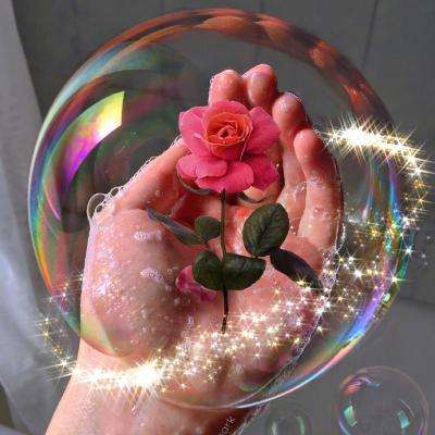 元宝派正式上线电脑版