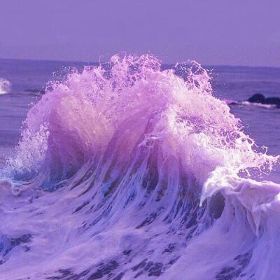 华夏招鑫鸿瑞混合C净值上涨3.55%